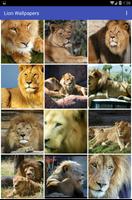 Lion Wallpapers تصوير الشاشة 2