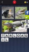 4 Pics 1 Word Pet Name 截圖 3