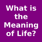 What is the Meaning of Life? ikona