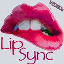 Lip Sync Video App How to Make Lip Sync Guide APK