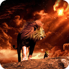 Lion Wallpaper icon