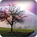 Live Landscape Wallpaper