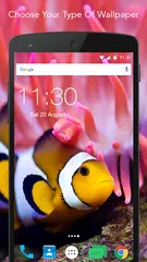 Скачать Fish Wallpaper APK