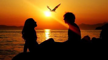 Sunset Wallpapers اسکرین شاٹ 2