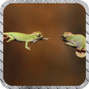 Chameleon Wallpaper APK