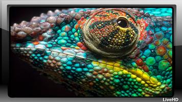 Chameleon Wallpaper capture d'écran 3