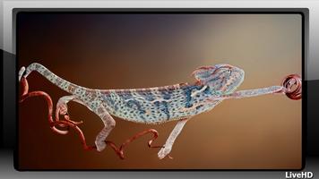 Chameleon Wallpaper capture d'écran 1