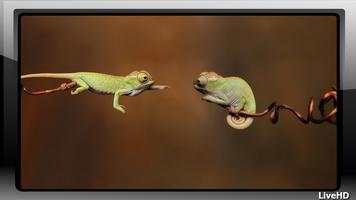 Chameleon Wallpaper capture d'écran 2