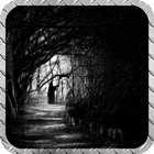 Dark Forest Wallpaper icône