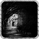 Dark Forest Wallpaper APK