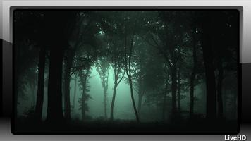 Dark Forest Wallpaper-poster