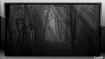 Dark Forest Wallpaper capture d'écran 1