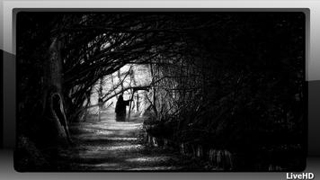 Dark Forest Wallpaper capture d'écran 2