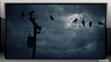 برنامه‌نما Rain Wallpaper عکس از صفحه