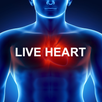 3D Heart of Human. APK