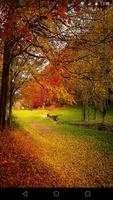 Autumn Live Wallpaper imagem de tela 1