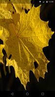 Autumn Live Wallpaper imagem de tela 3
