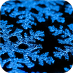 Blue snowflakes. Wallpaper