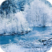 Winter forest. Live wallpaper