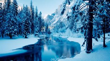 Winter forest. Live wallpaper 截图 2