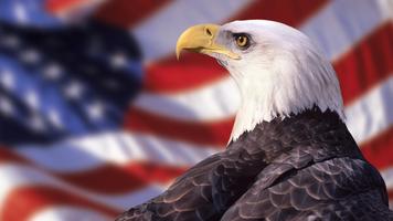 American flag. Live wallpaper imagem de tela 1