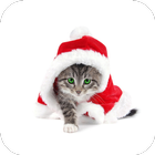 Christmas cats.Live wallpaper आइकन