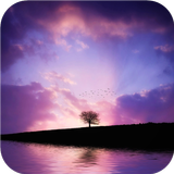 Field, sky and alone tree icon