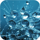 Water drops and flowers icon