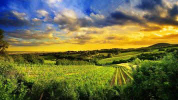 Fields and mountains plakat