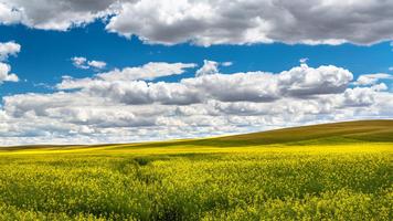 Fields and mountains imagem de tela 1