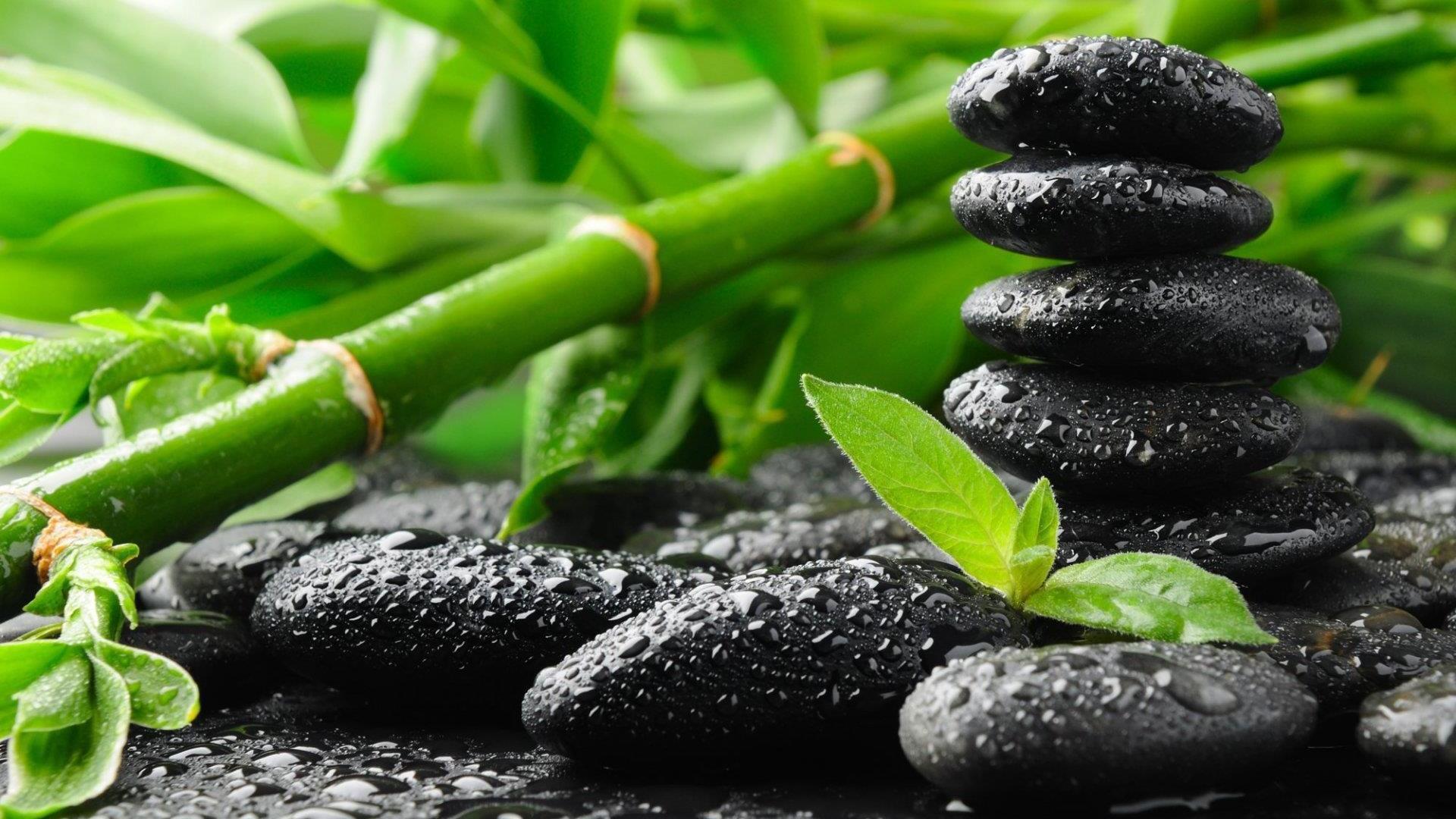 Religion Zen Wallpaper For Android Apk Download Religion Zen Wallpaper For Android Apk Download