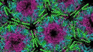 2 Schermata MicroBiology Science wallpaper