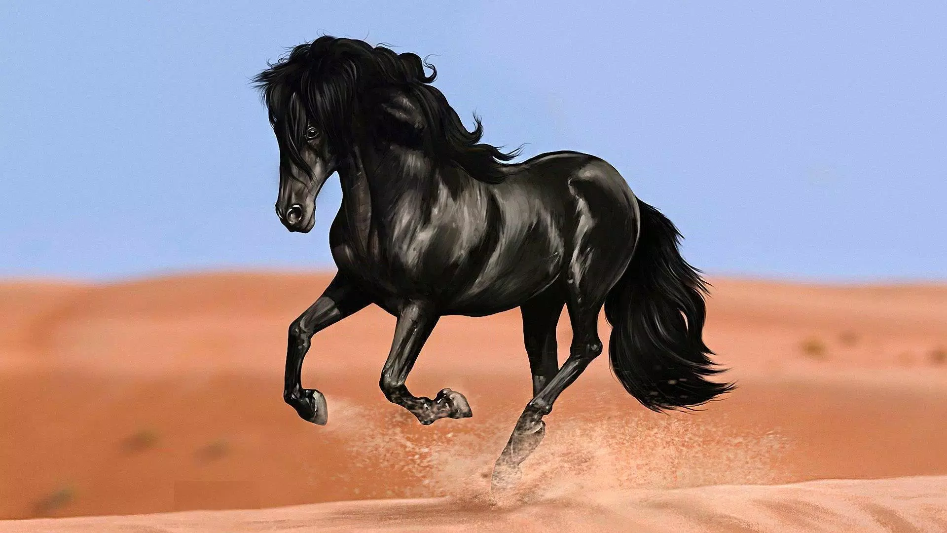 Black horse. Animal wallpapers APK for Android Download Black horse. Animal wallpapers APK for Android Download