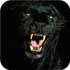 ikon Black Panther Animal wallpaper
