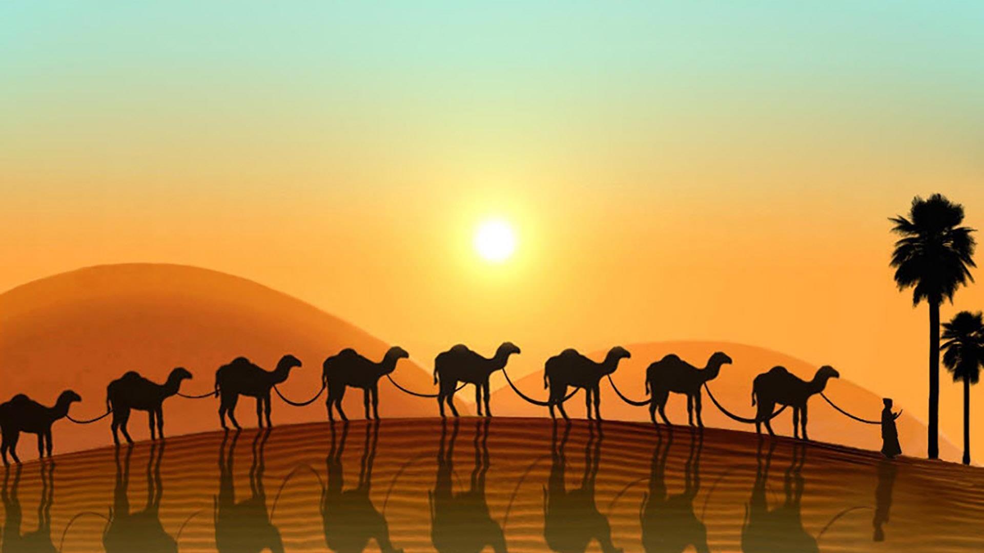 Караван проверить. Верблюд в пустыне. Караван верблюдов в пустыне. Караван с верблюдами в пустыне. Верблюд и Пальма.