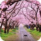 Pink garden. Live wallpapers icon