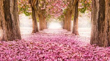 Pink garden. Live wallpapers اسکرین شاٹ 2