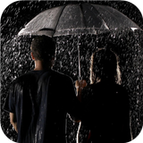 Rain drops and love wallpapers icône
