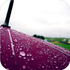 Umbrella. Live wallpapers أيقونة