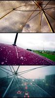 Umbrella. Live wallpapers plakat