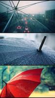 Umbrella. Live wallpapers screenshot 1