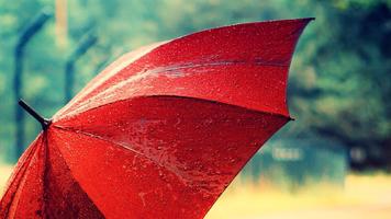 Umbrella. Live wallpapers স্ক্রিনশট 3