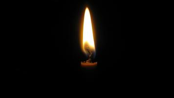 Candle fire. Live wallpapers 截图 1