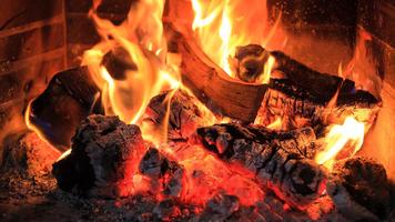 Burning wood. Live wallpapers imagem de tela 1