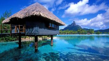 Tropical bungalow. Wallpapers اسکرین شاٹ 2