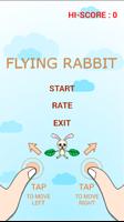 FlyingRabbit Affiche