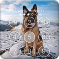 Clever German Shepherd Dog HD Lock Screen
