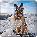 ”Clever German Shepherd Dog HD Lock Screen