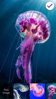 2 Schermata The Jellyfish App Wallpapers & AppLock Security