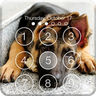 Real German Shepherd PIN HD Lock Screen Keypad icône